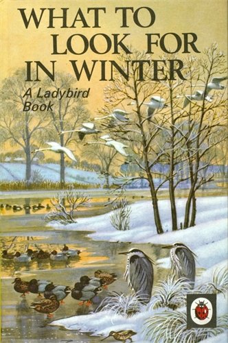 What to Look For in Winter: A Ladybird Book (Ladybird Archive)